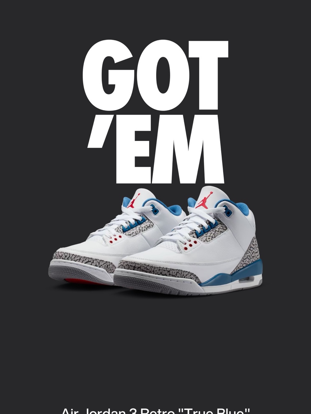 Jordan Men's Sneakers White/Blue/Red with Elephant Print
